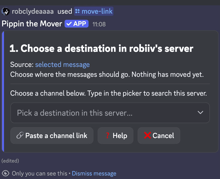 Pippin's Choose a destination step with the target server's channel picker